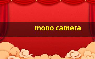 mono camera